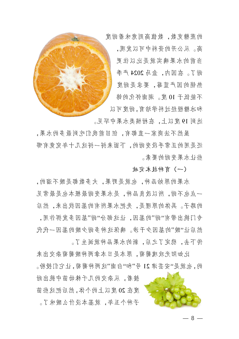 新葡京网址